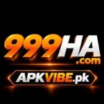 999HA Game