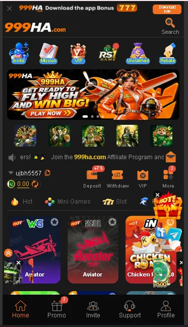999HA Game